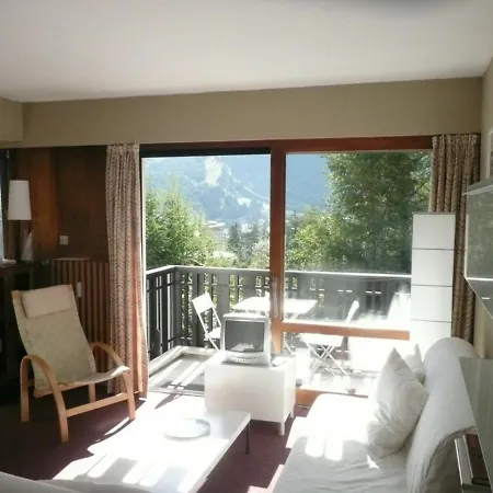 Chamonix-mont-blanc, 1 Piece, 3 Personnes - Fr-1-517-33