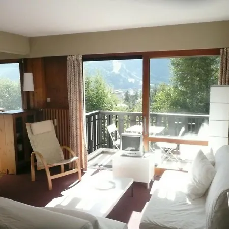 아파트 Chamonix-mont-blanc, 1 Piece, 3 Personnes - Fr-1-517-33 *